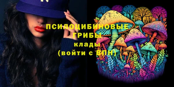 Альфа ПВП Алзамай