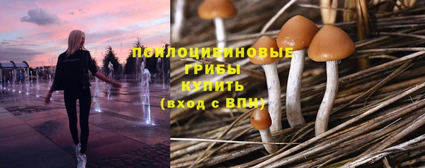 бутират Ростов