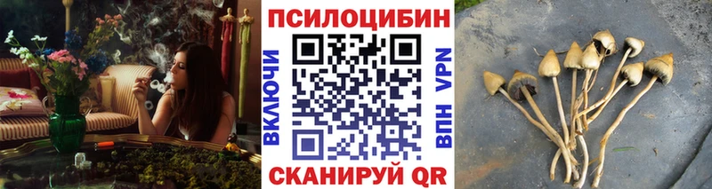Галлюциногенные грибы мицелий ссылка на мегу рабочий сайт Ивдель