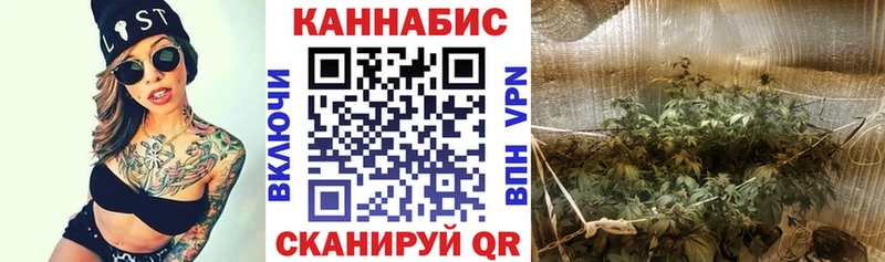 kraken ССЫЛКА  закладки  Ивдель  Марихуана план 